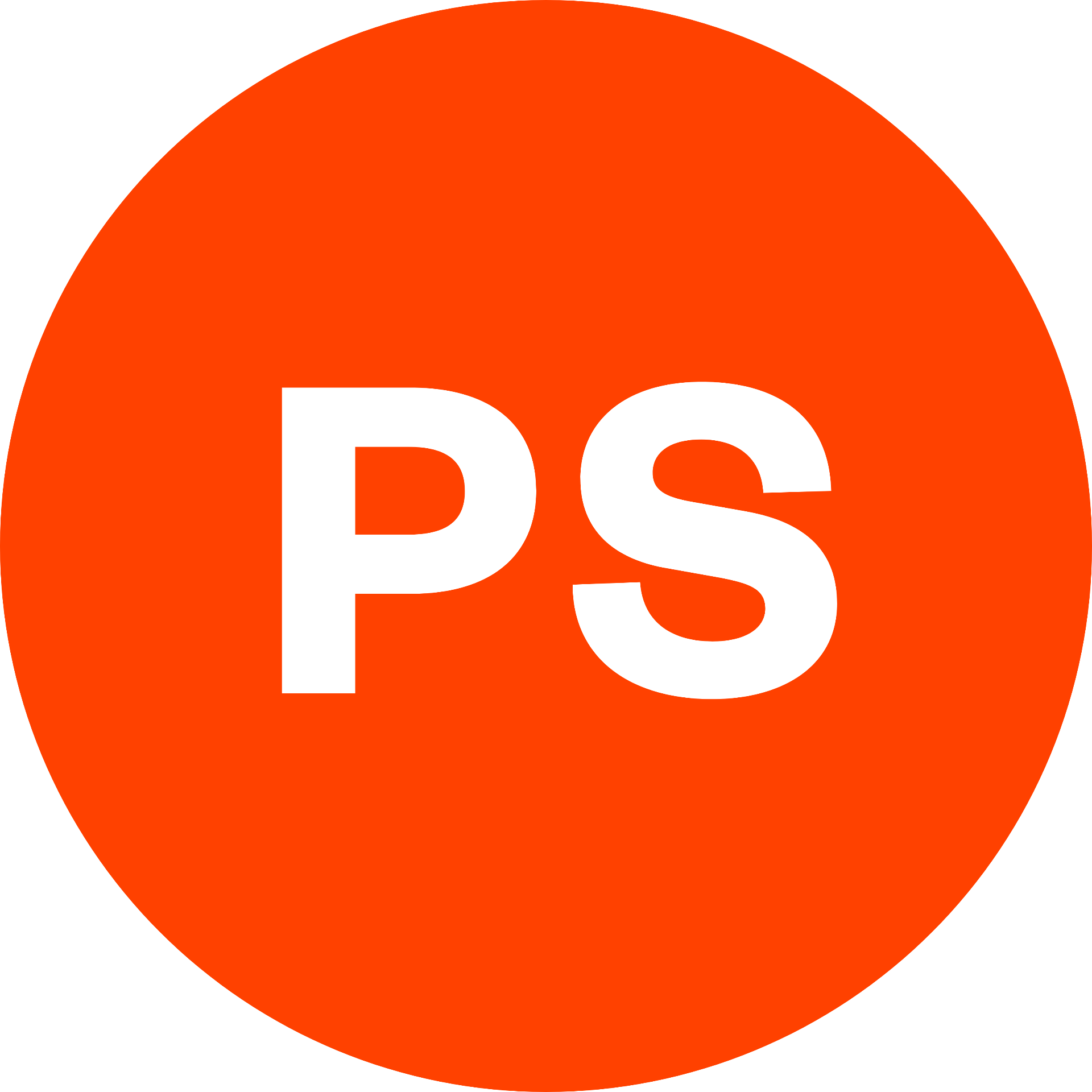 PS Website Design logo